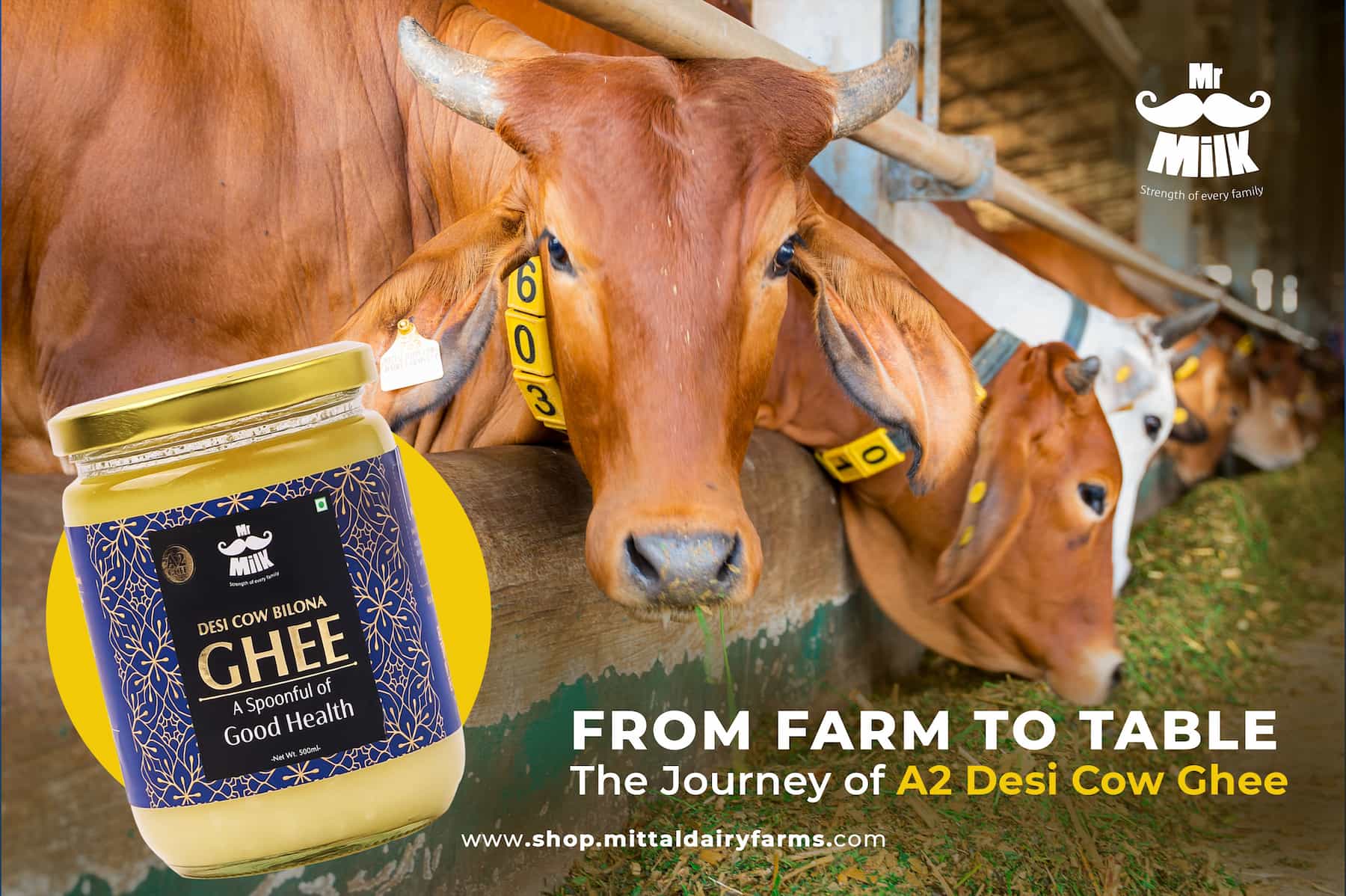 From Farm to Table: The Journey of A2 Desi Cow Ghee