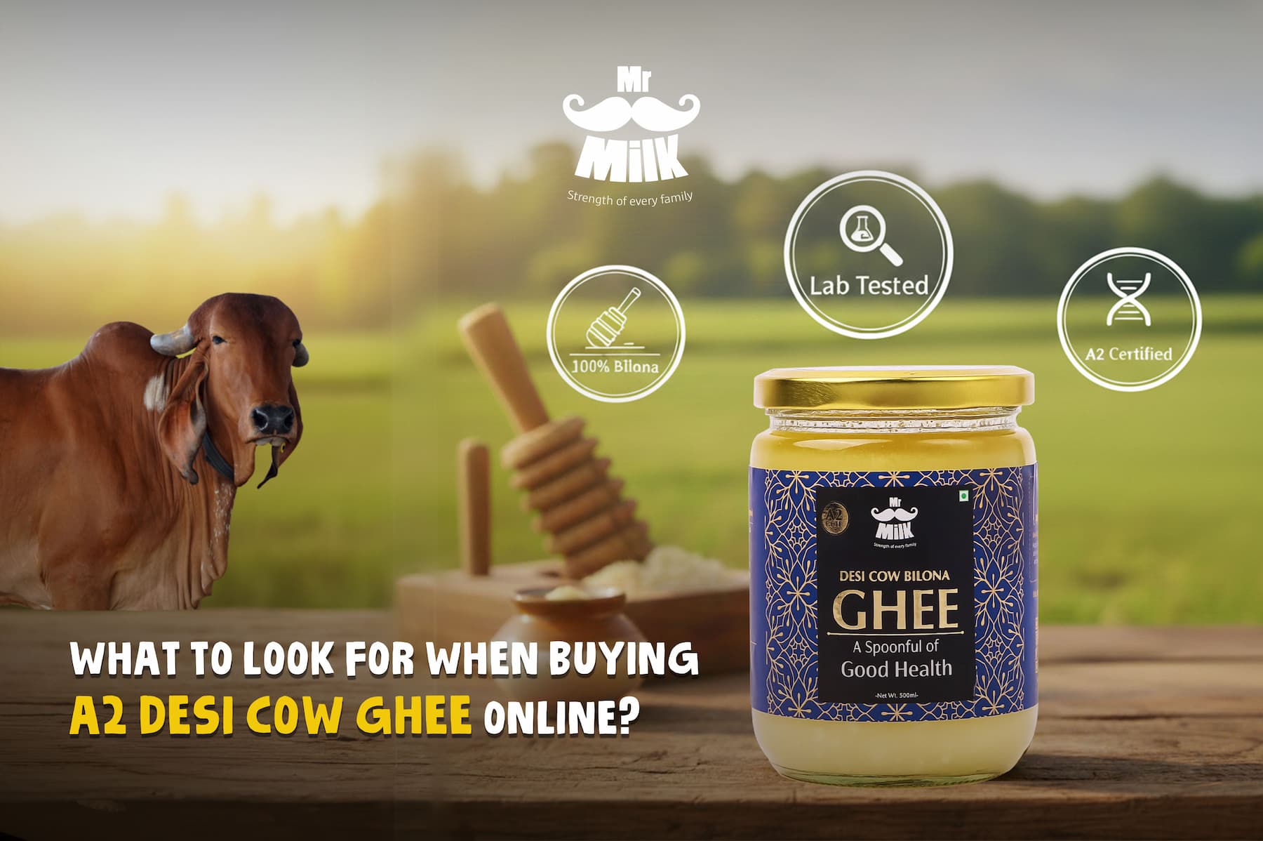What to Look for When Buying A2 Desi Cow Ghee Online?